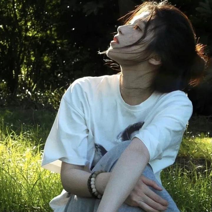 我的小狮王