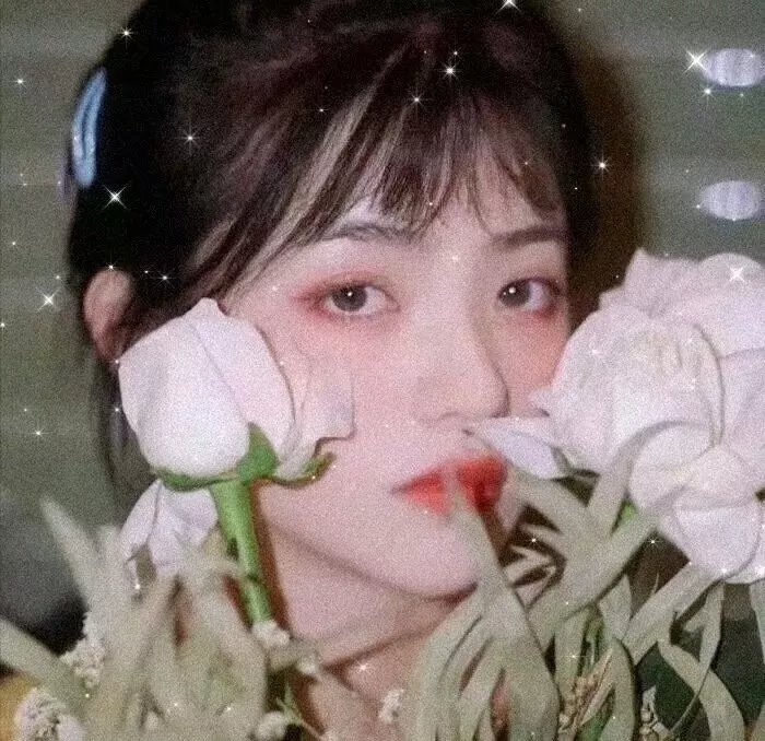 绝代双骄动画版